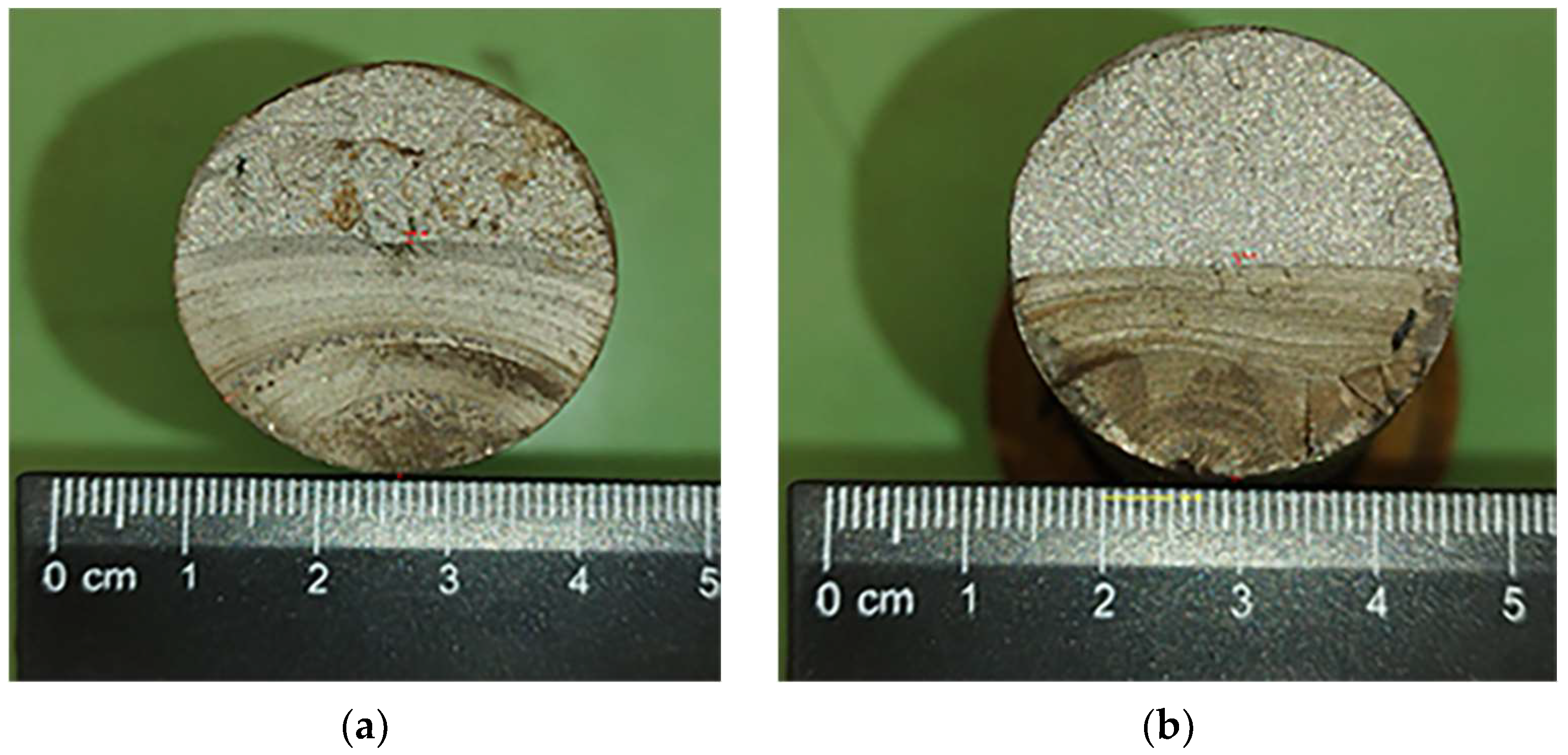 Engproc 100 00052 g001