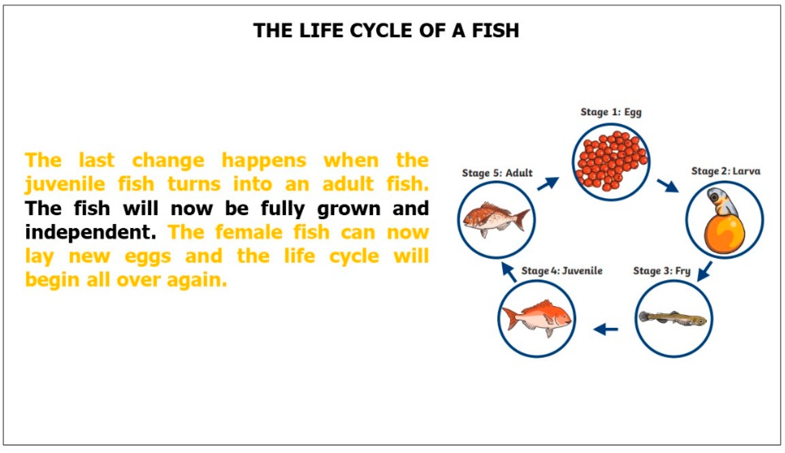 Engproc 103 00011 g008 Engproc 103 00011 g008