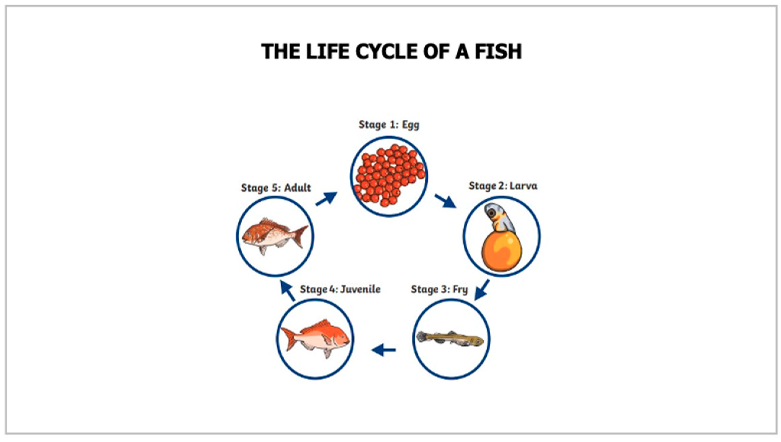 Engproc 103 00011 g010 Engproc 103 00011 g010