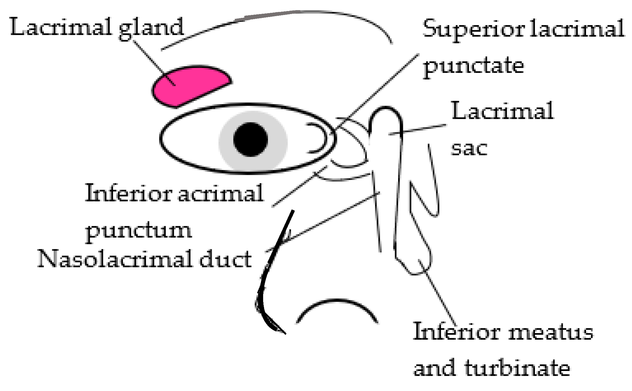 Engproc 103 00030 g001