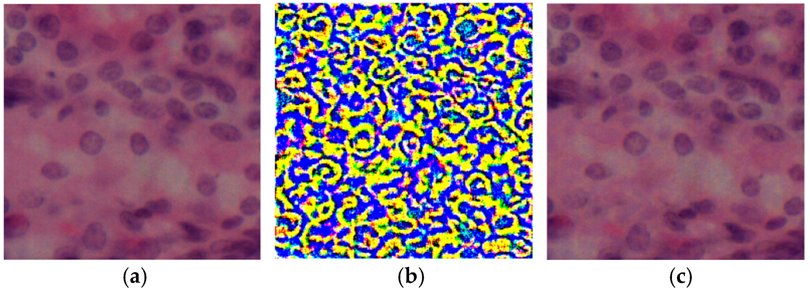 Engproc 104 00003 g001