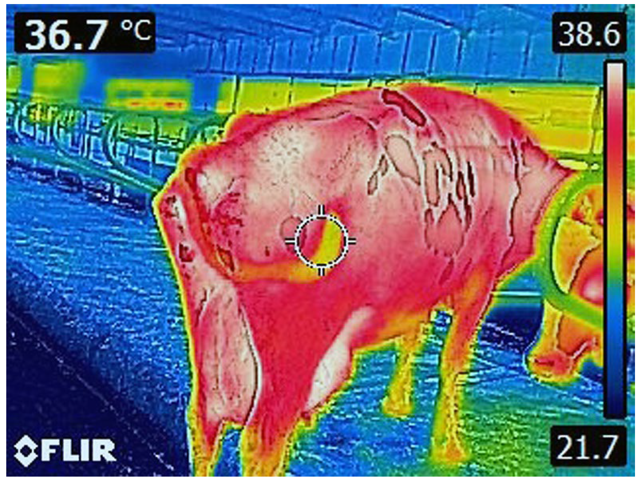 Engproc 104 00094 g001