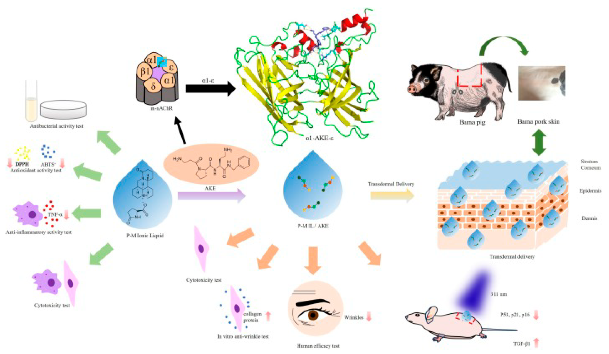 Engproc 106 00004 g003 Engproc 106 00004 g003