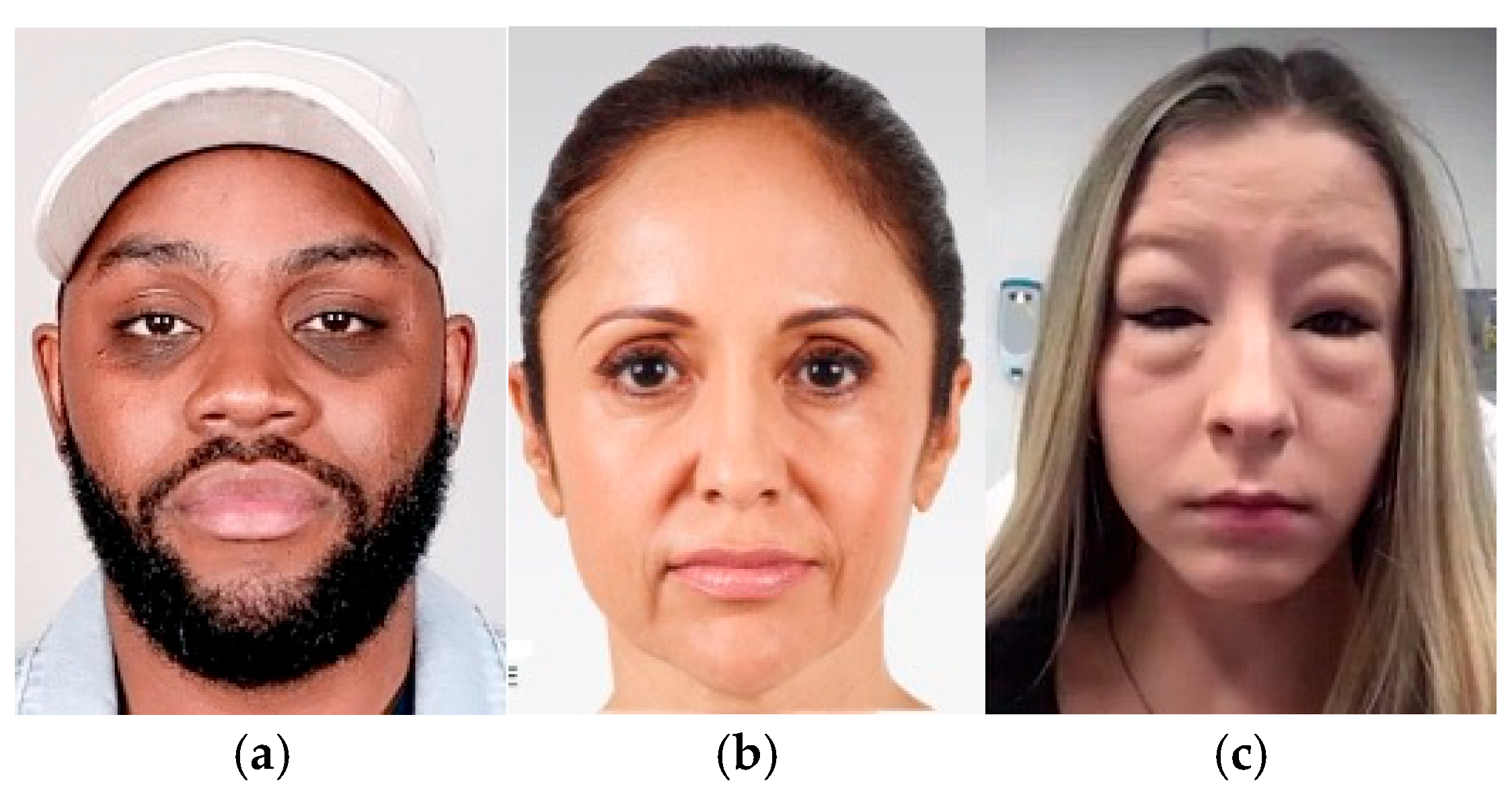 Engproc 107 00003 g001