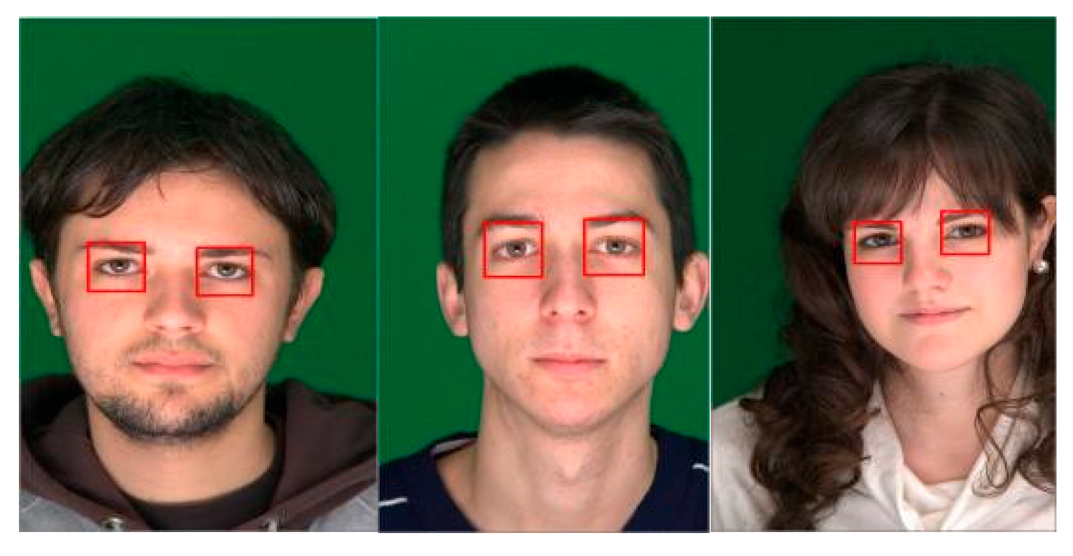 Engproc 107 00003 g003