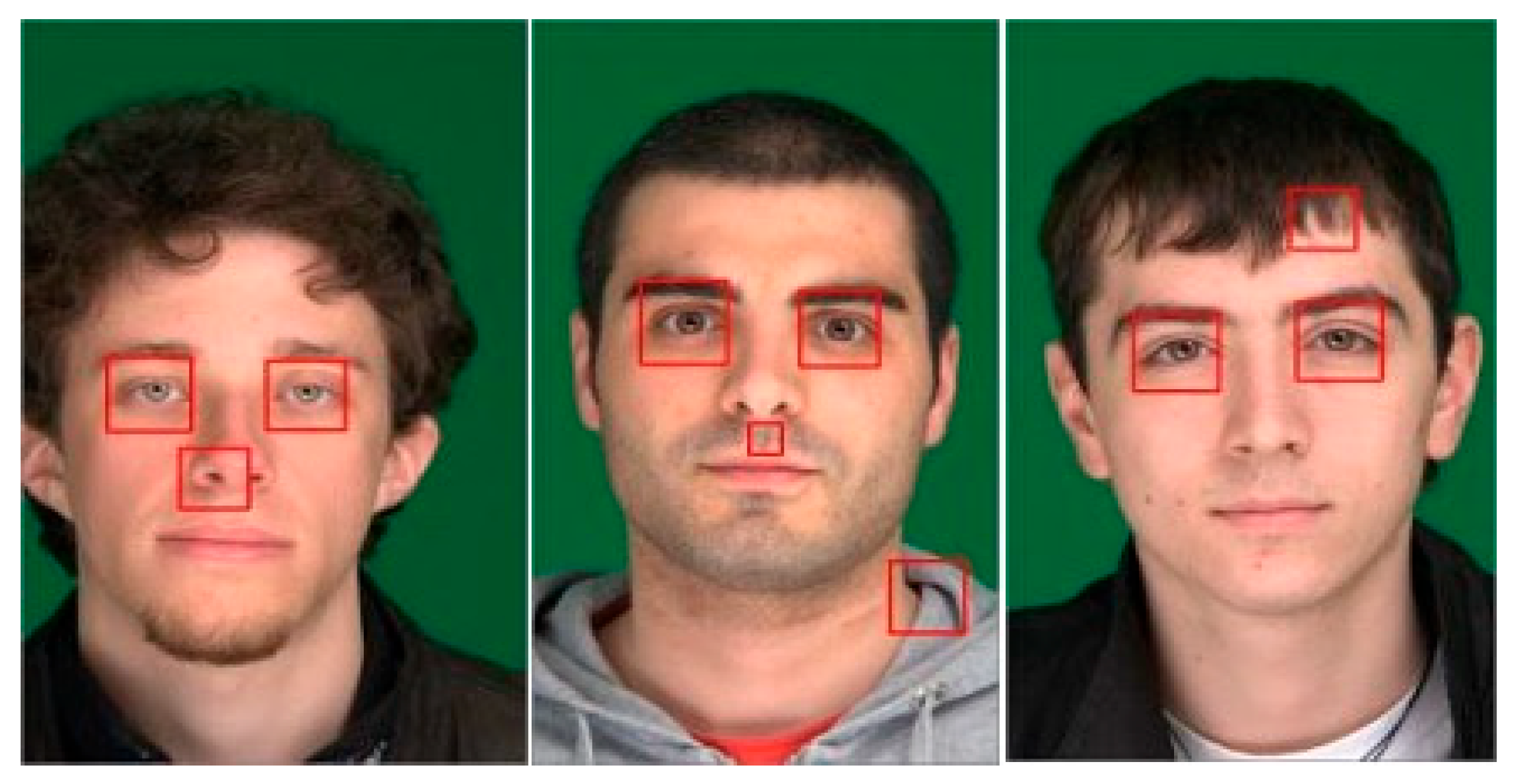 Engproc 107 00003 g004