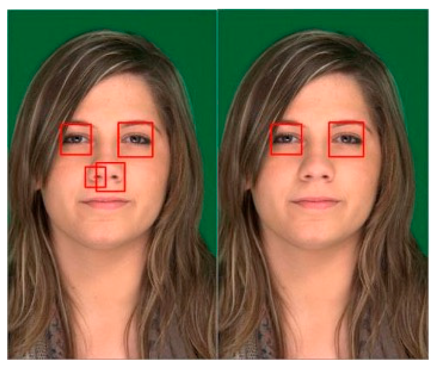 Engproc 107 00003 g006