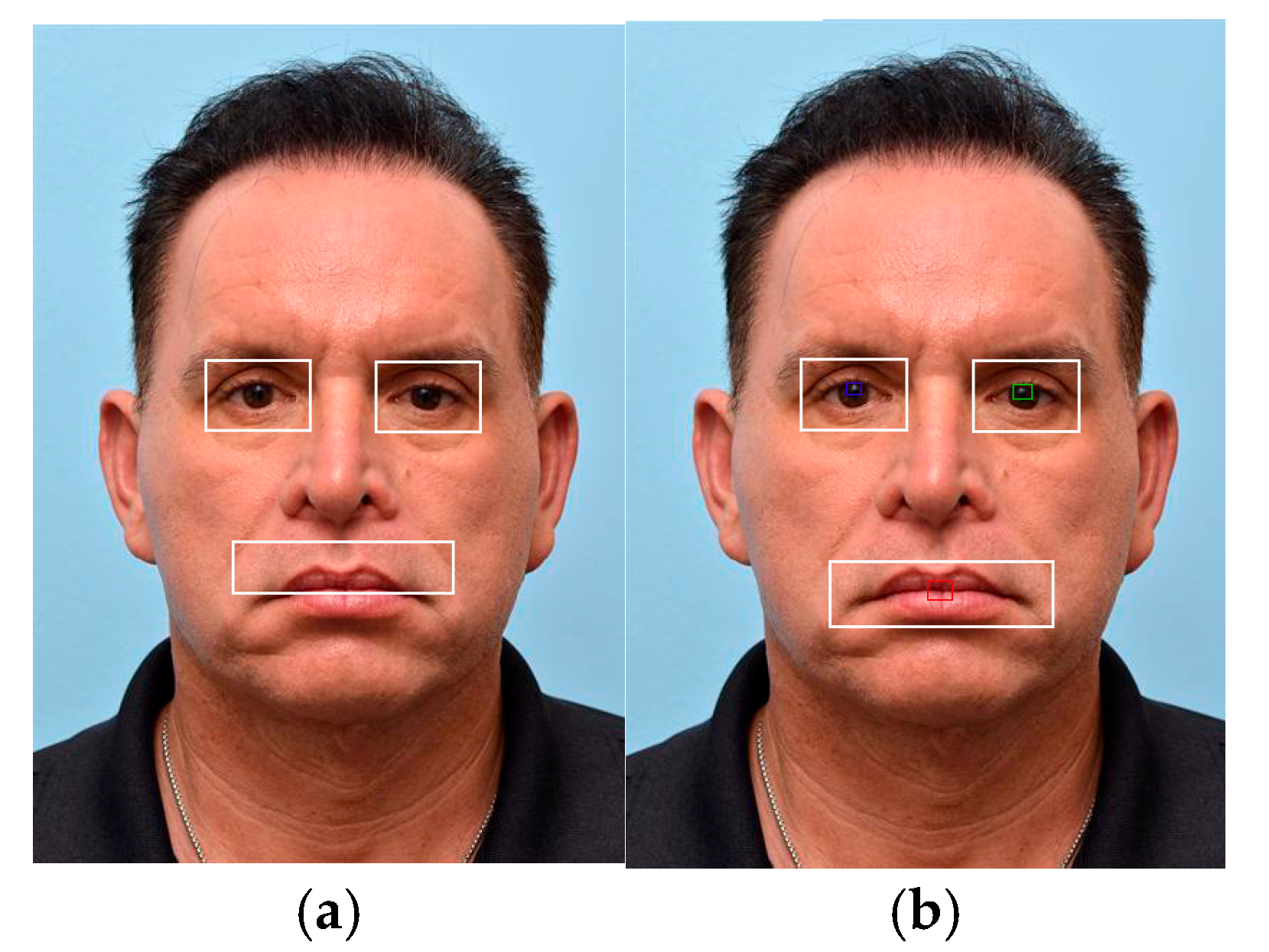 Engproc 107 00003 g011