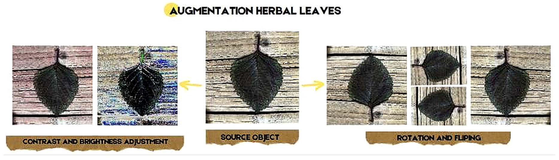 Engproc 107 00102 g007 Engproc 107 00102 g007