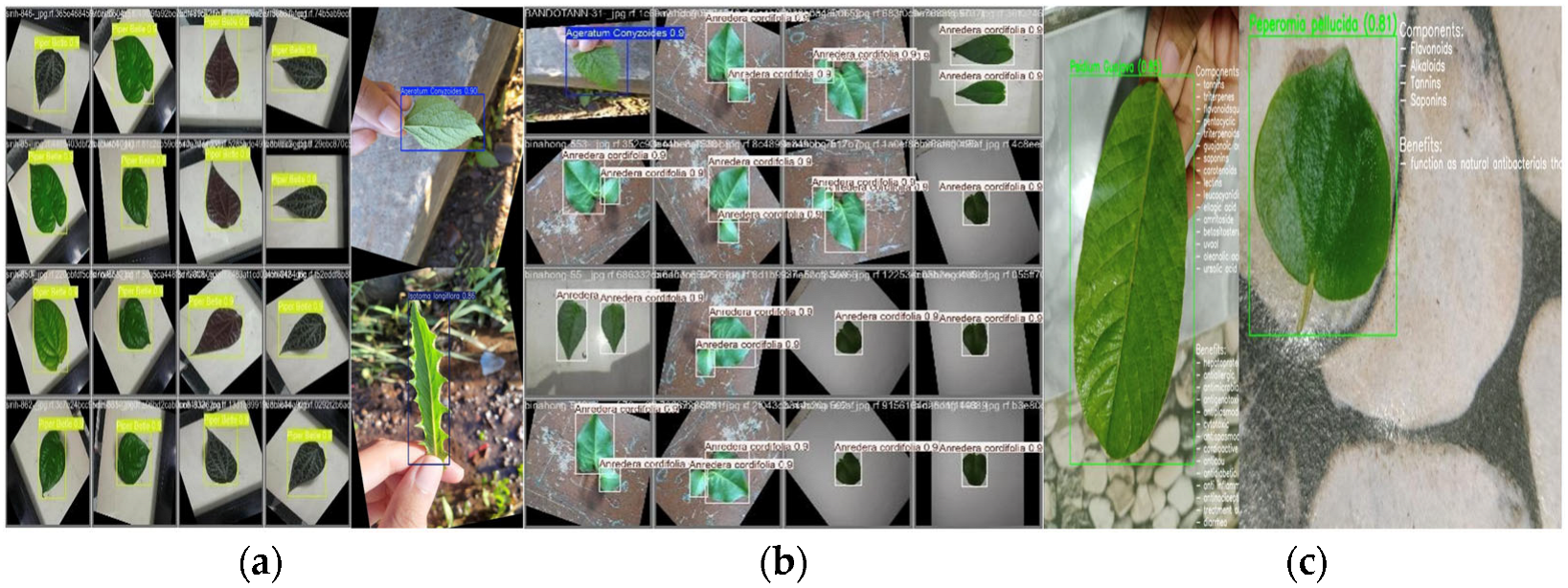 Engproc 107 00102 g009 Engproc 107 00102 g009