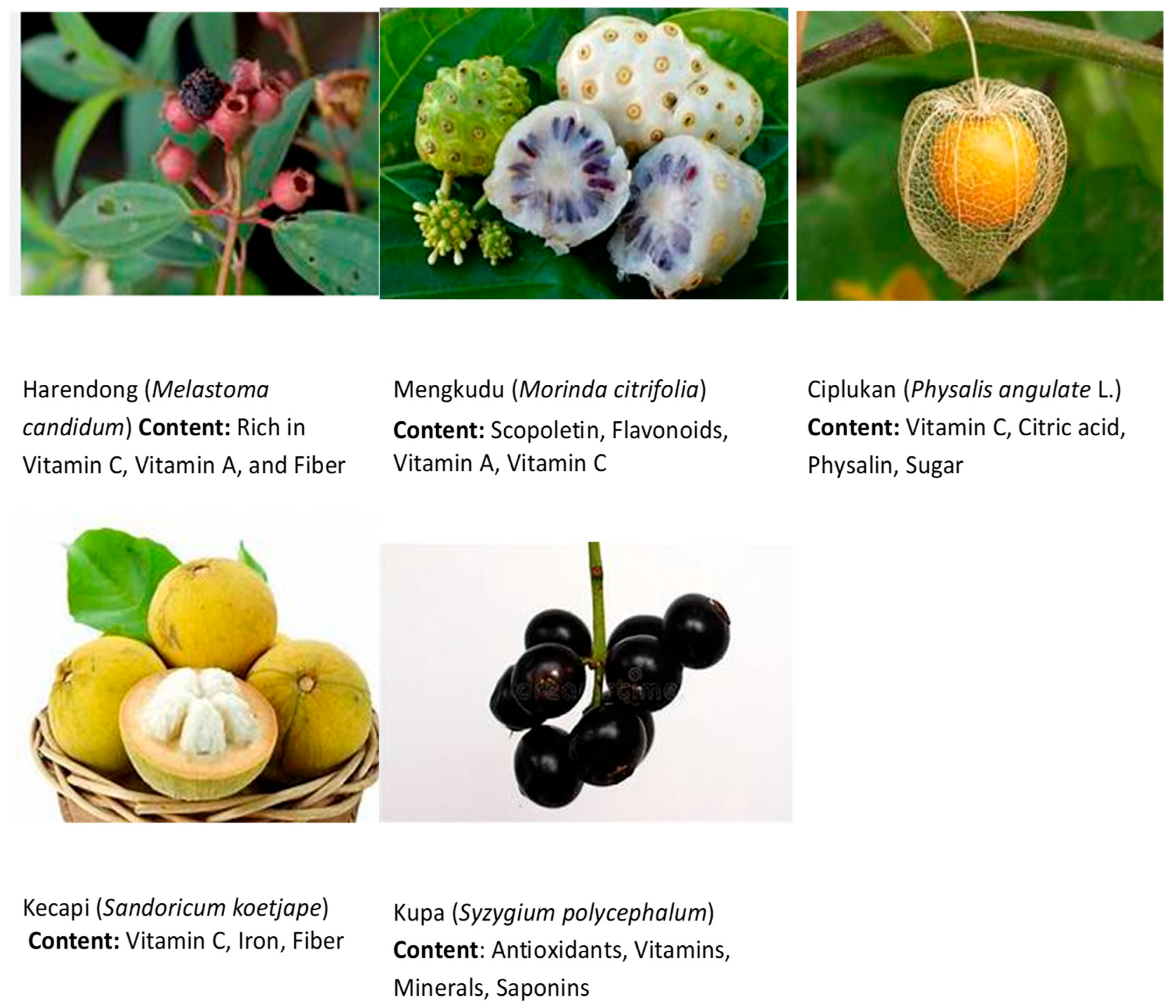 Engproc 107 00120 g001