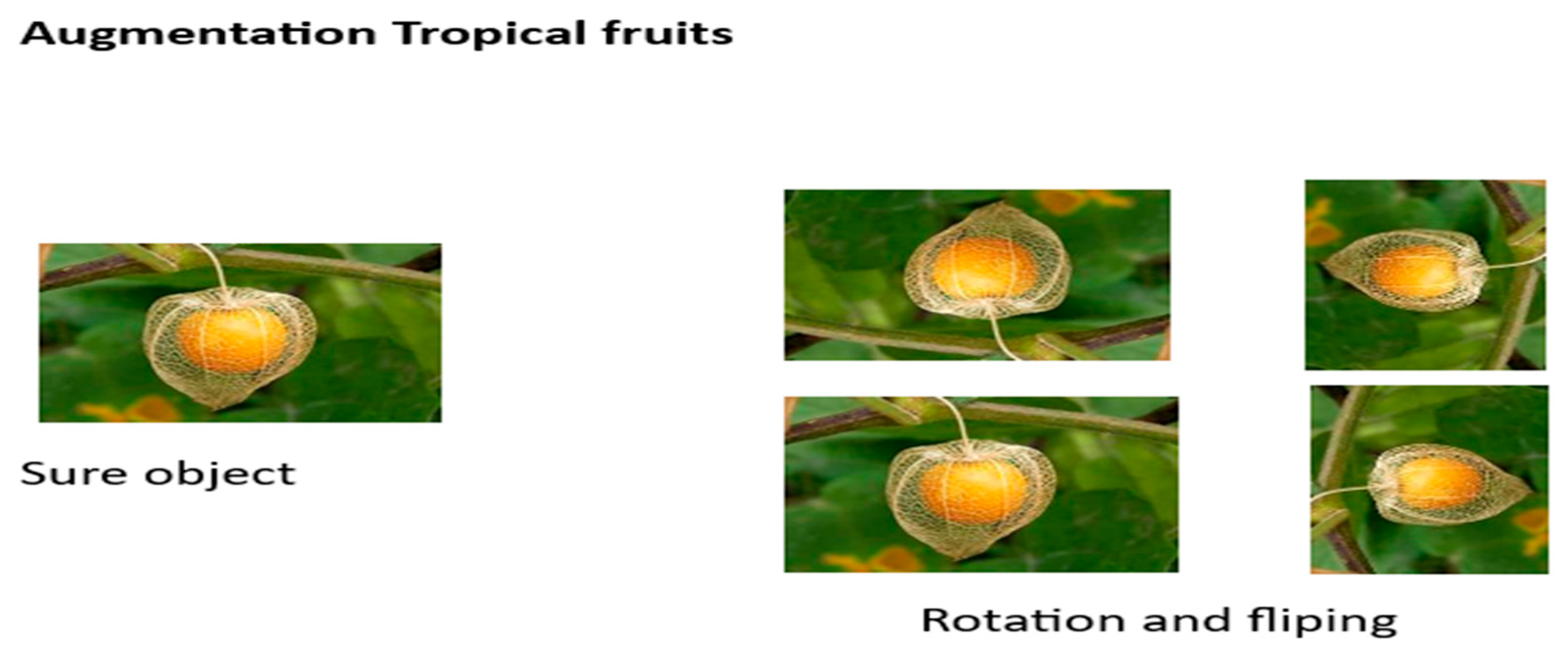 Engproc 107 00120 g007