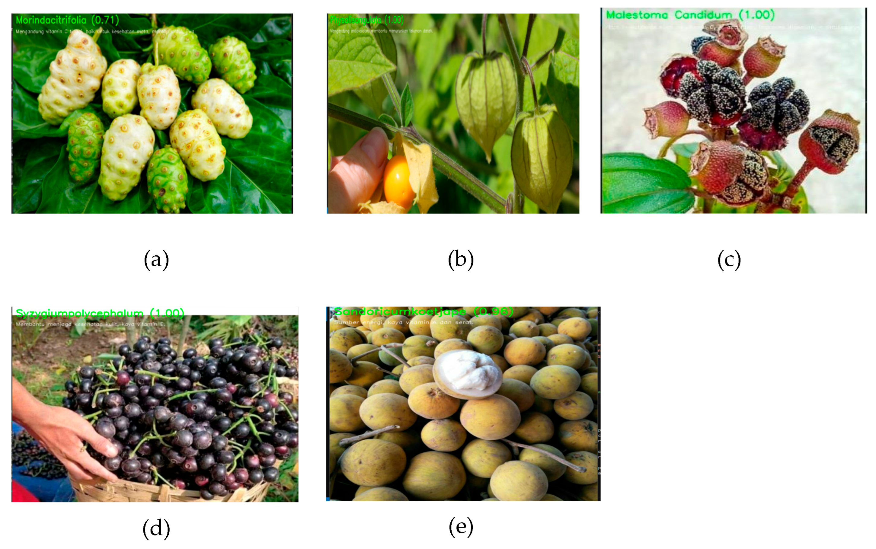 Engproc 107 00120 g009