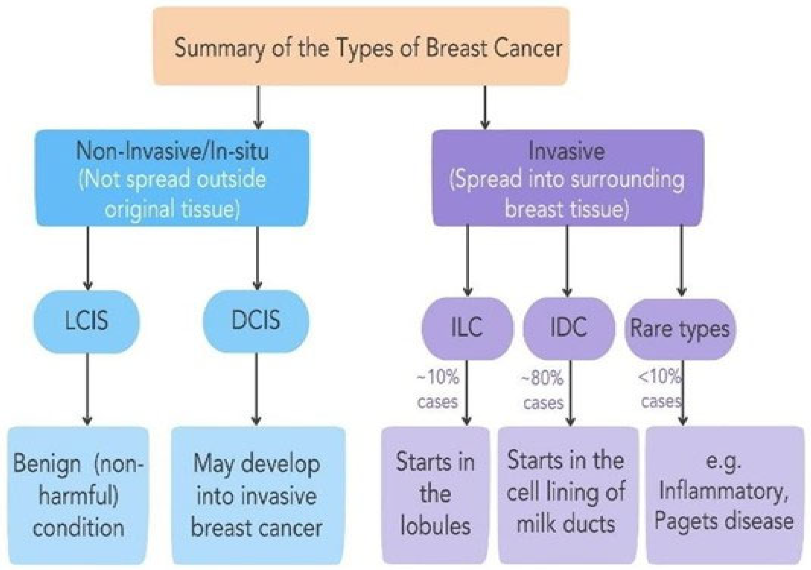 Engproc 107 00129 g001