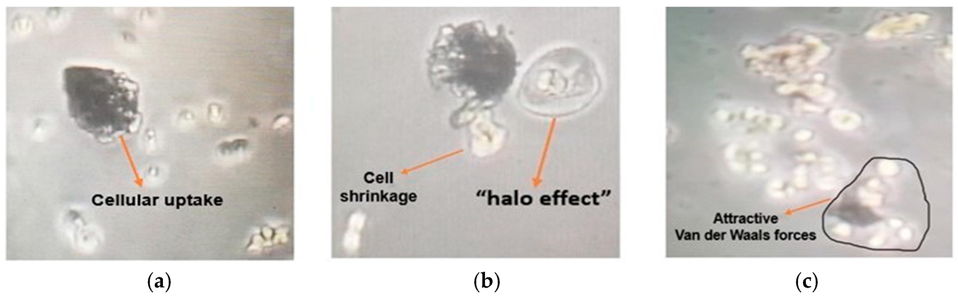 Engproc 109 00006 g002 Engproc 109 00006 g002