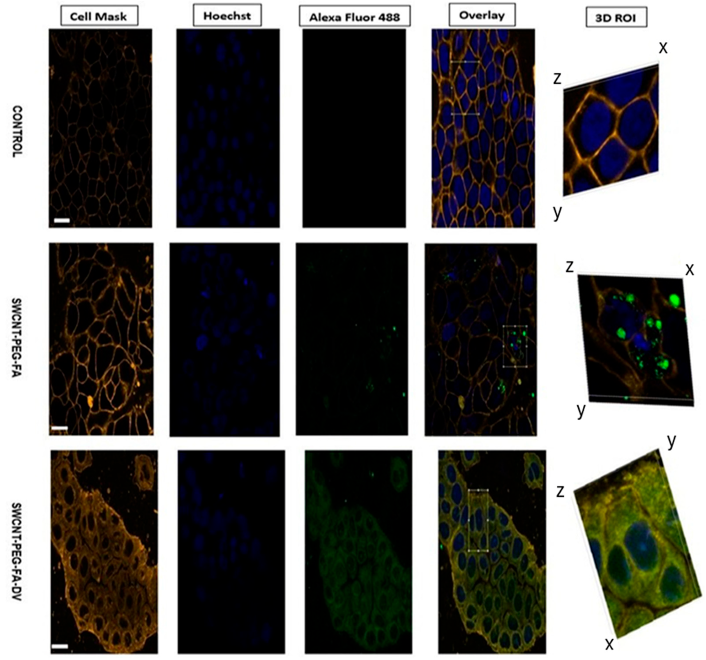 Engproc 109 00006 g003 Engproc 109 00006 g003