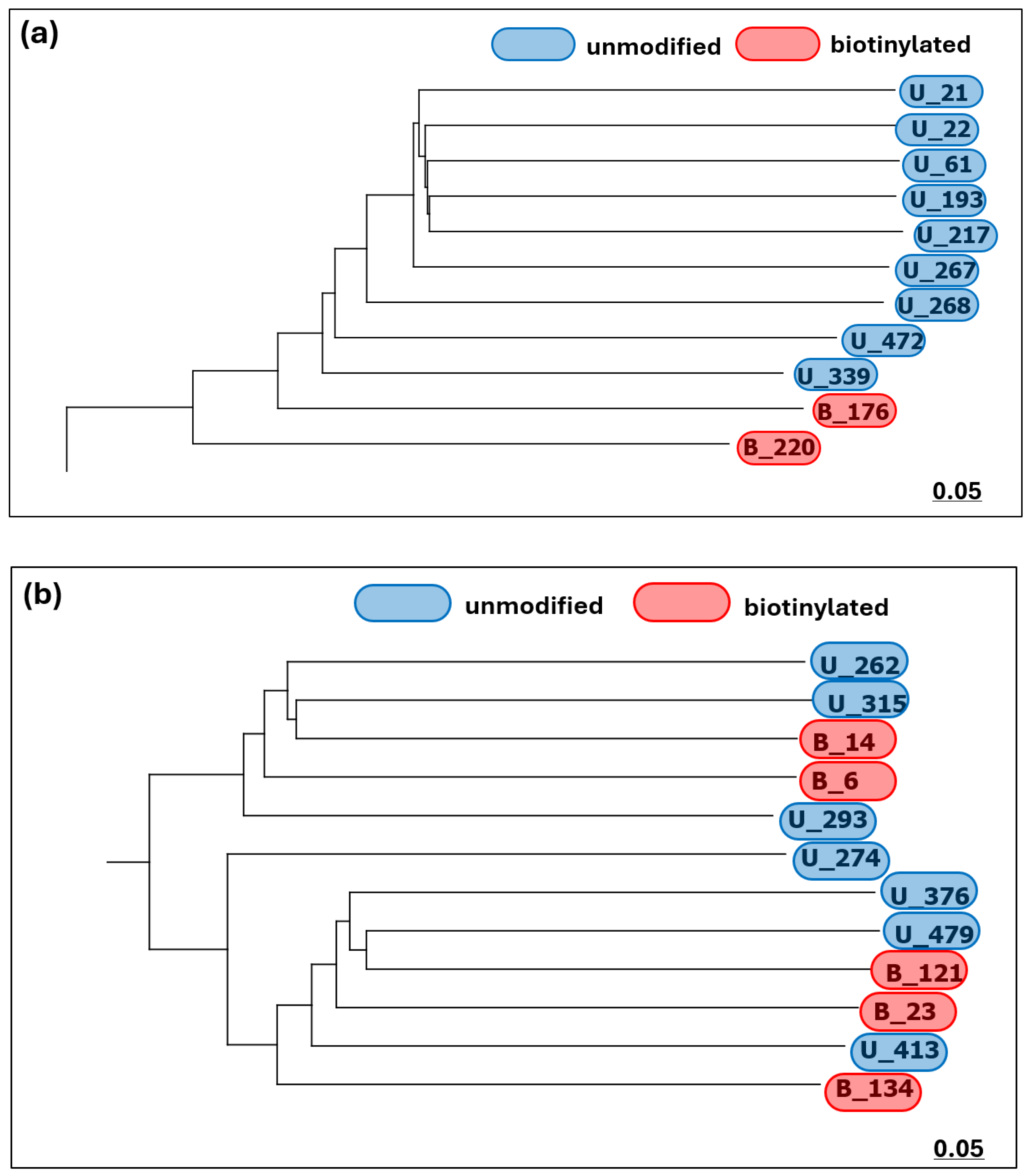 Engproc 109 00007 g002