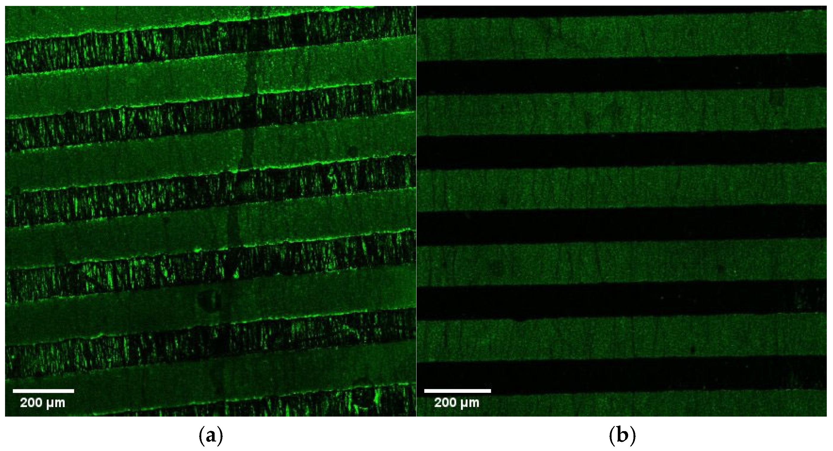 Engproc 109 00015 g001