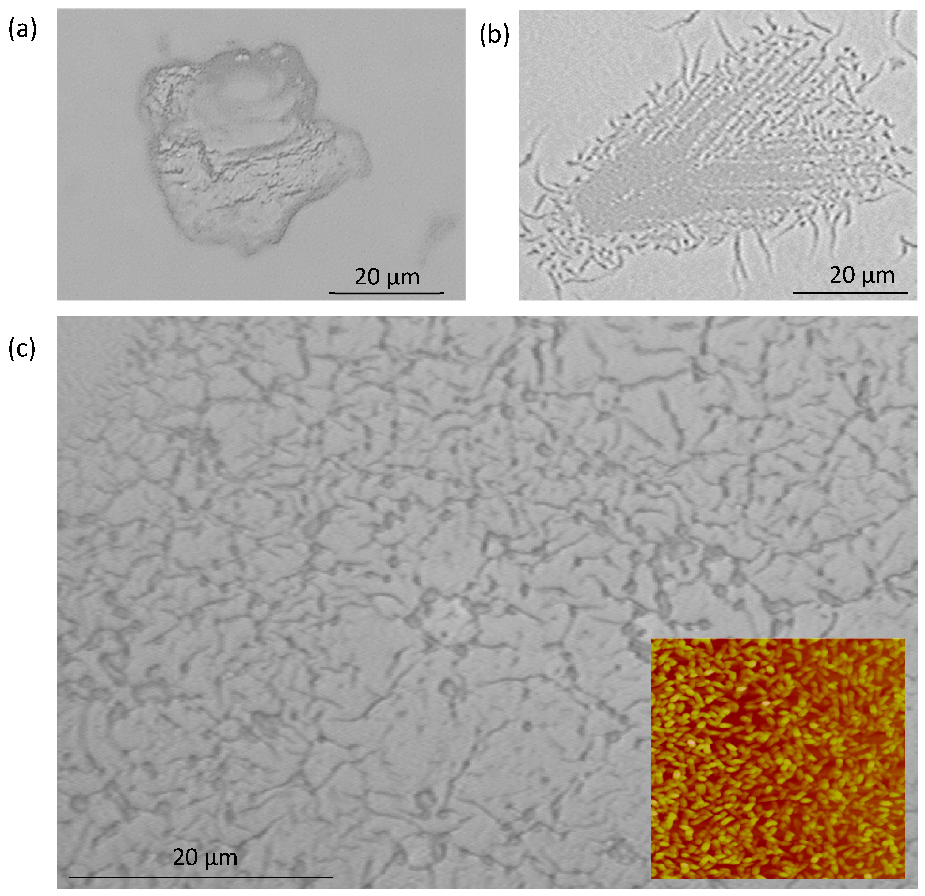 Engproc 11 00002 g001
