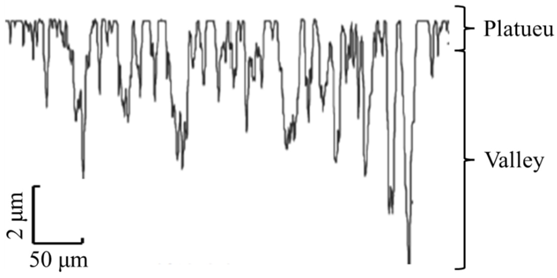 Engproc 11 00023 g001