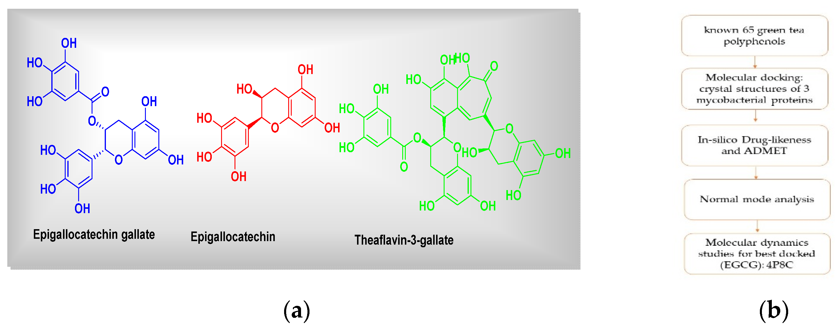 Engproc 11 00031 g001