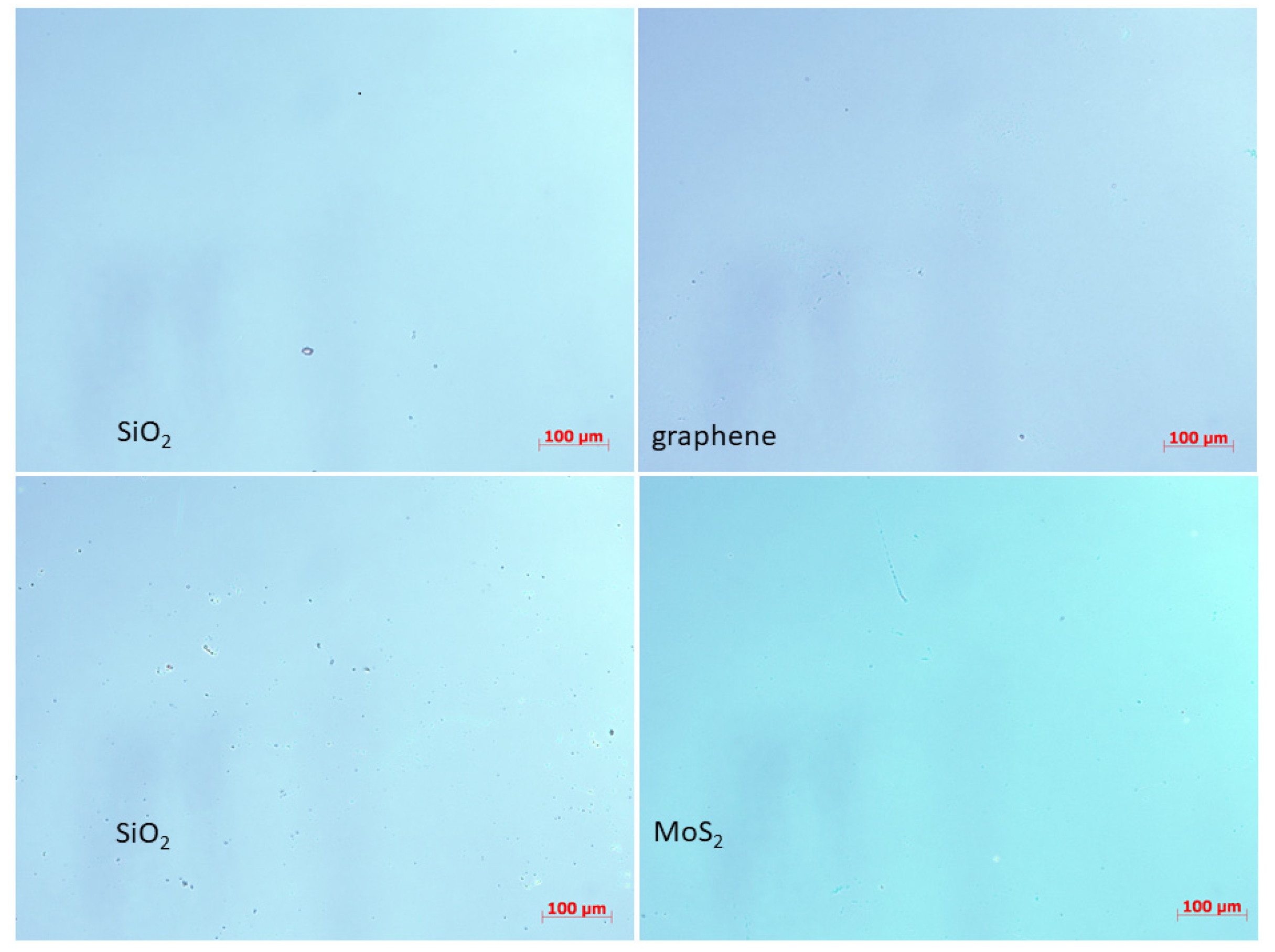 Engproc 11 00050 g004 550