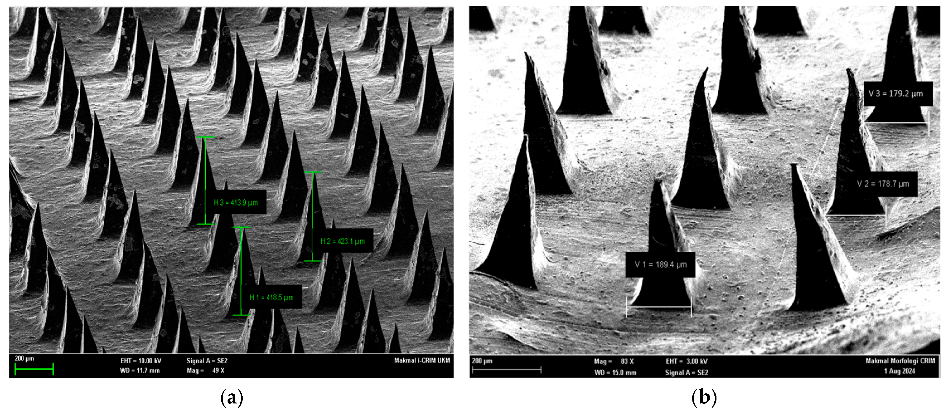 Engproc 110 00007 g002