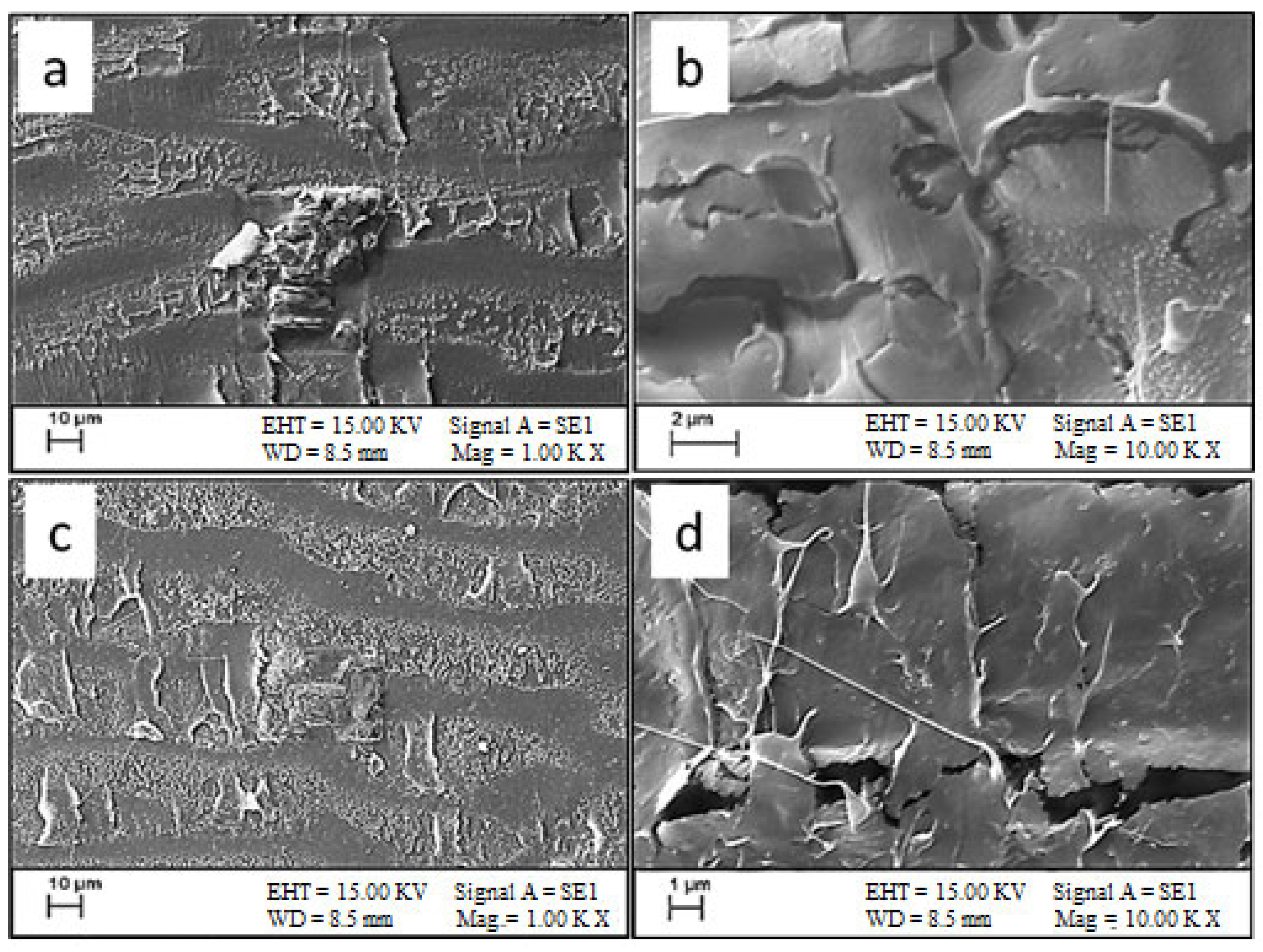 Engproc 113 00060 g001 Engproc 113 00060 g001