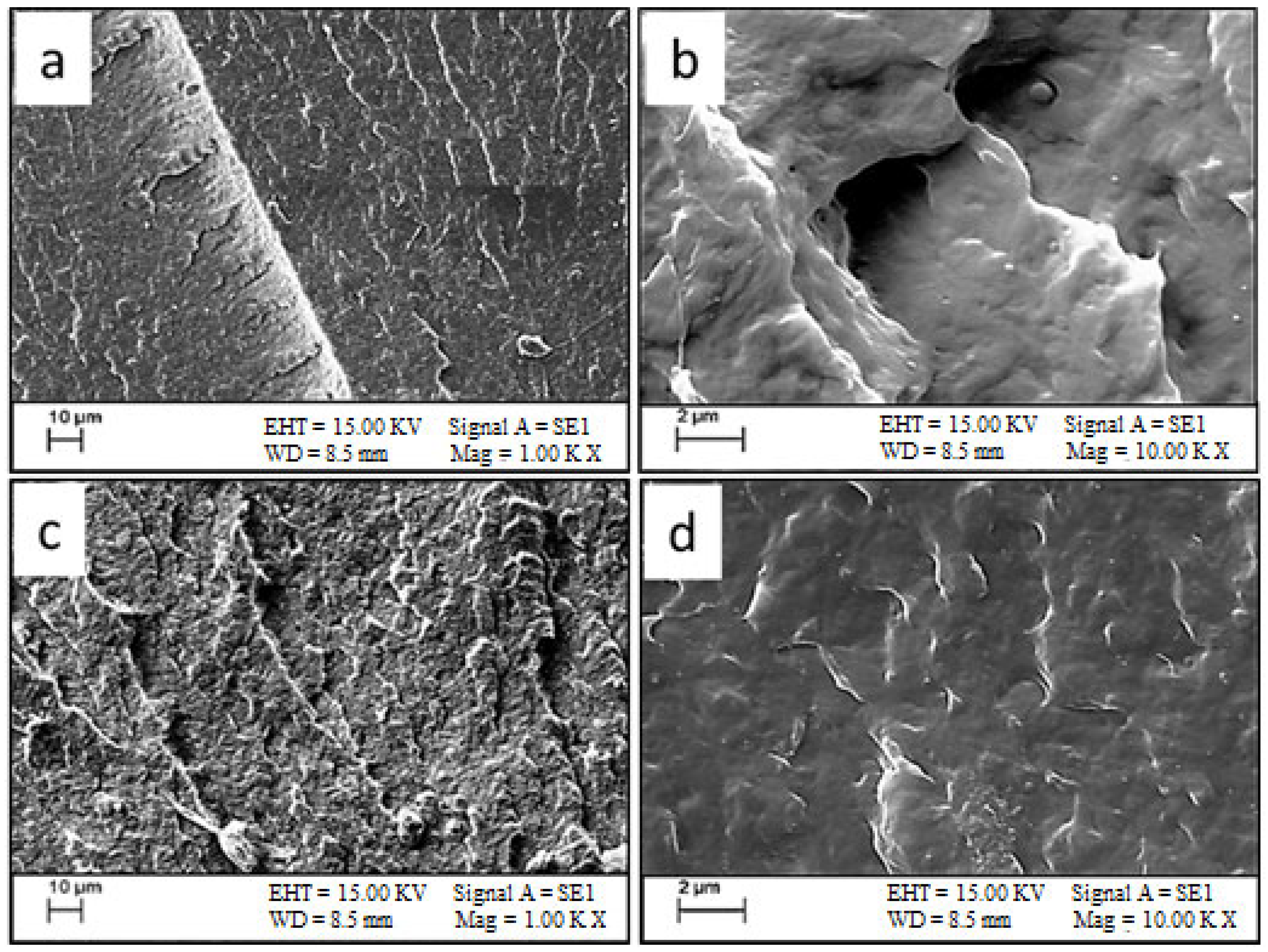 Engproc 113 00060 g002 Engproc 113 00060 g002