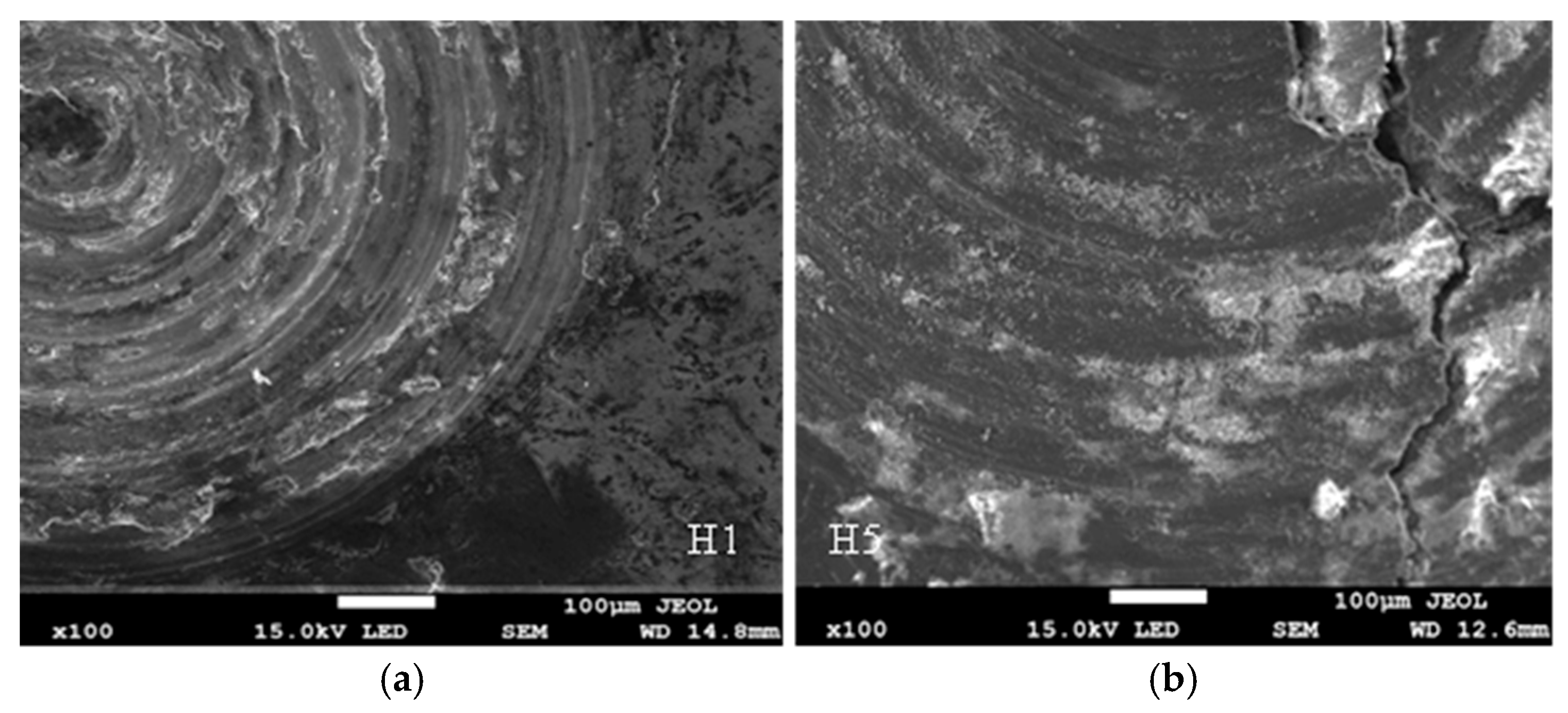 Engproc 114 00001 g011 Engproc 114 00001 g011