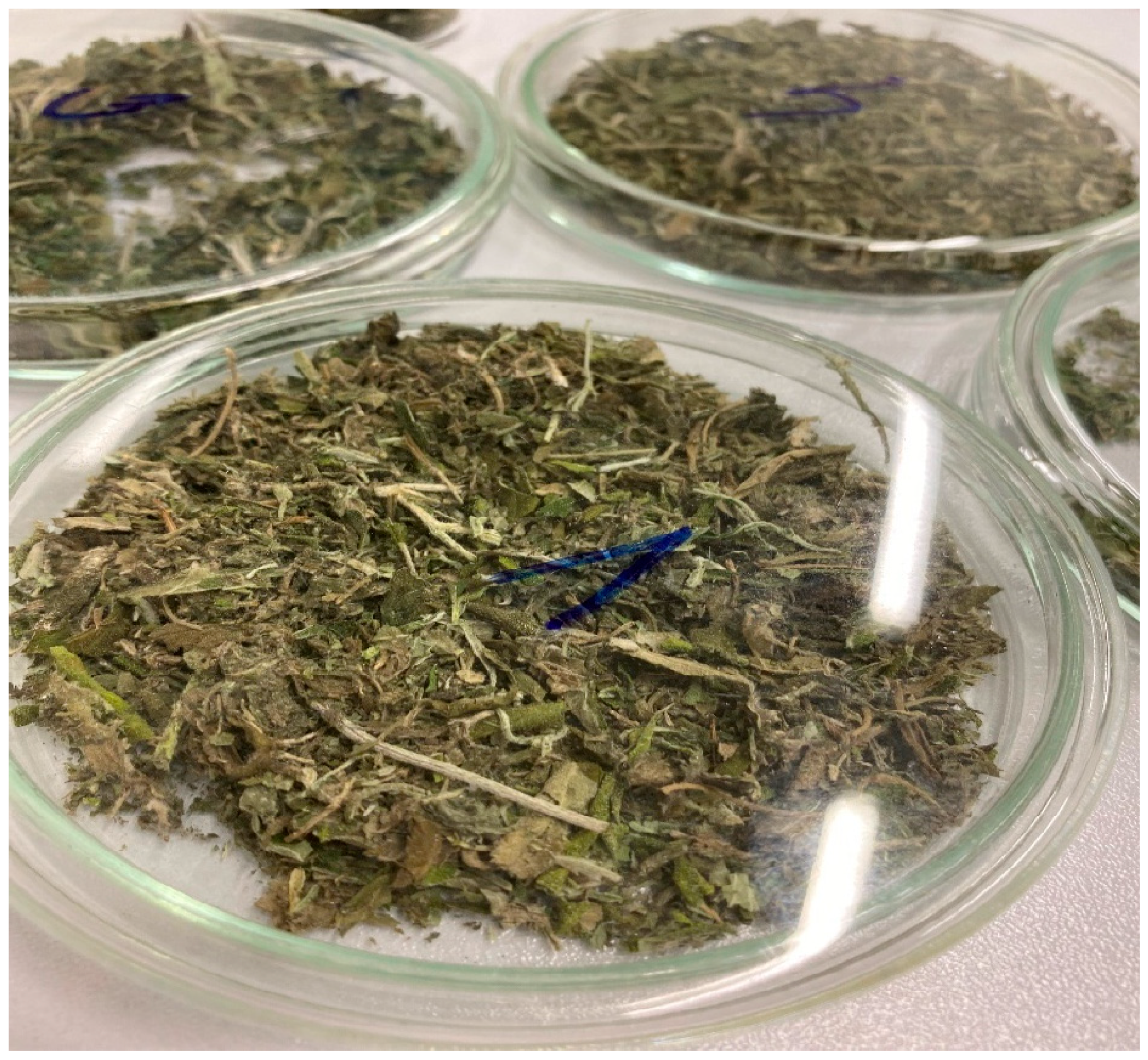 Engproc 116 00008 g002