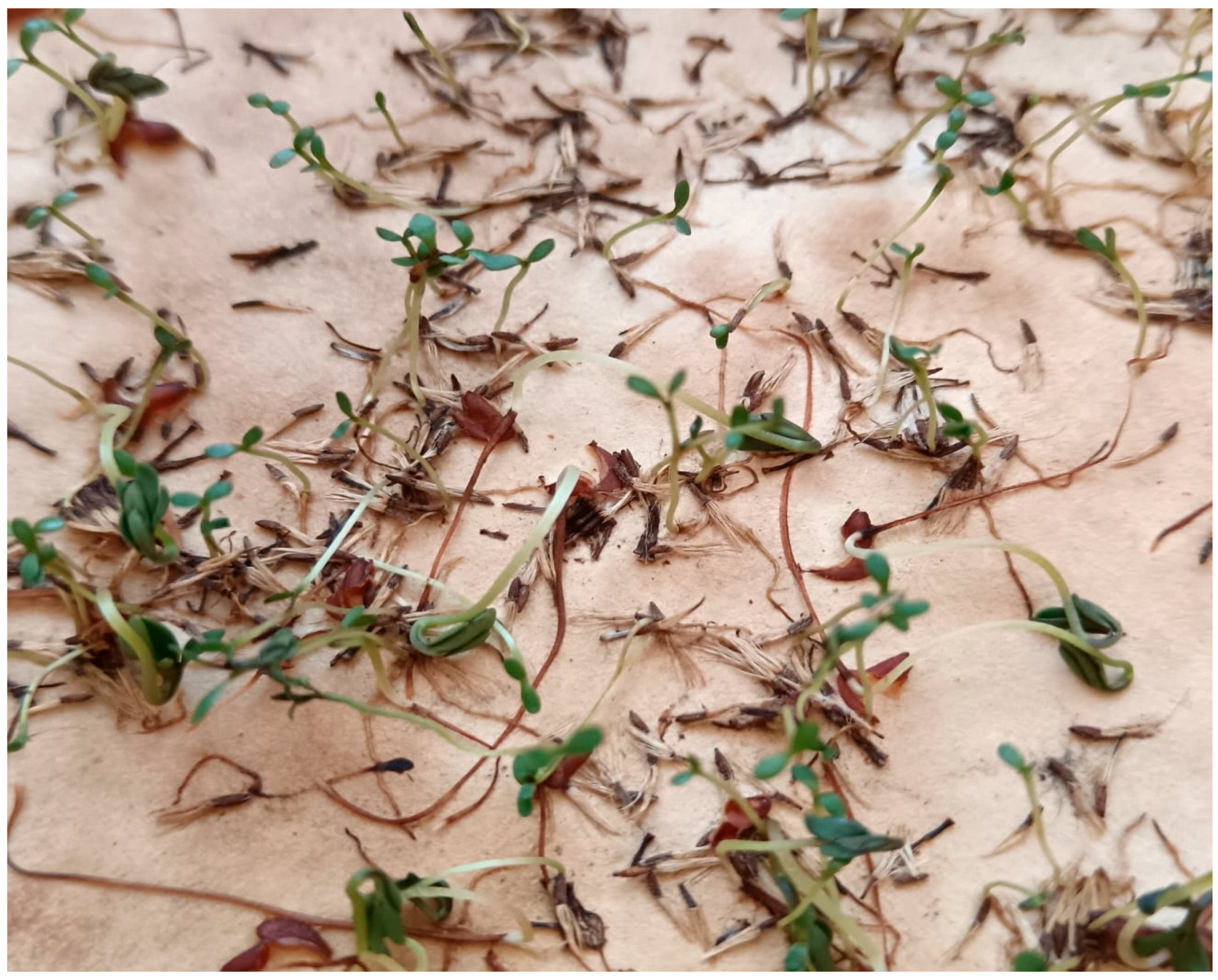 Engproc 116 00015 g001