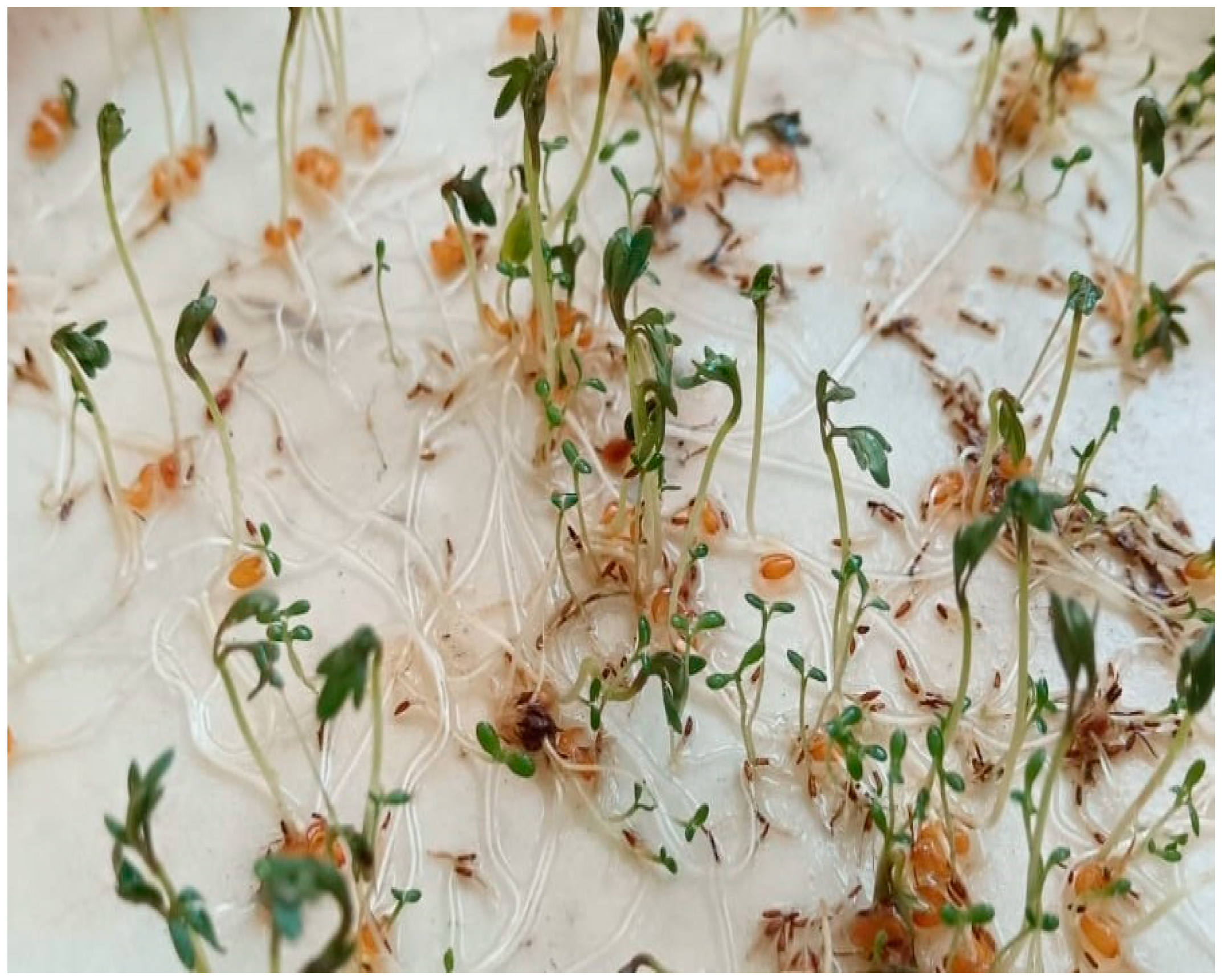 Engproc 116 00015 g007