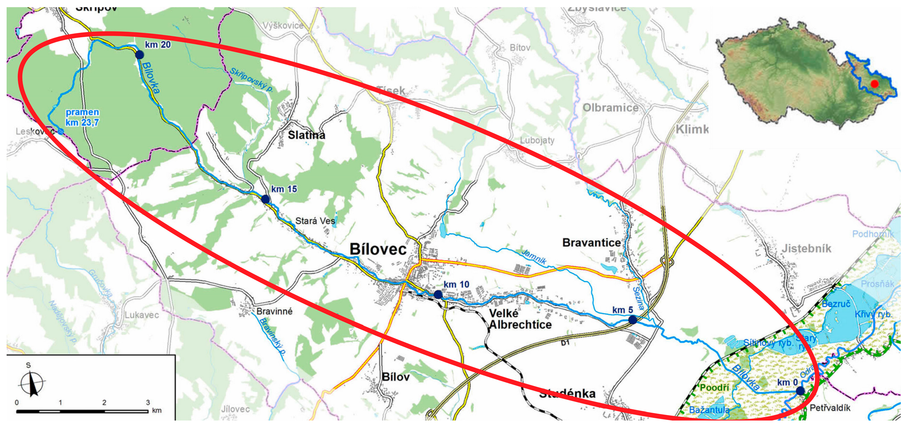 Engproc 116 00031 g001