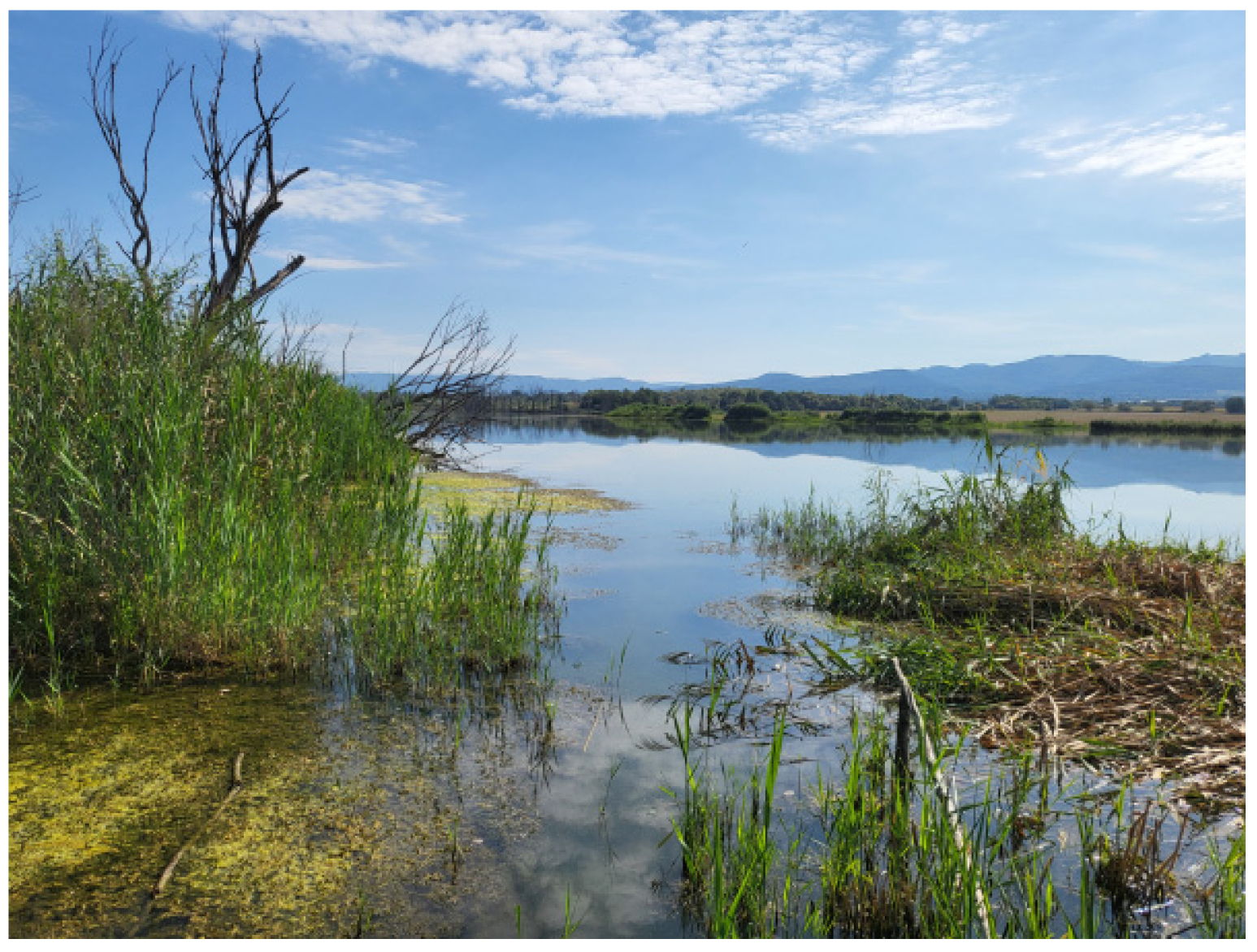 Engproc 116 00037 g005