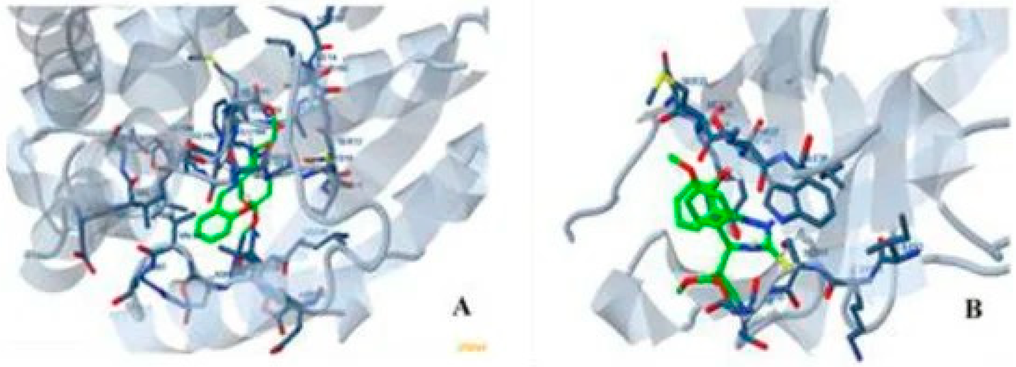 Engproc 117 00023 g006