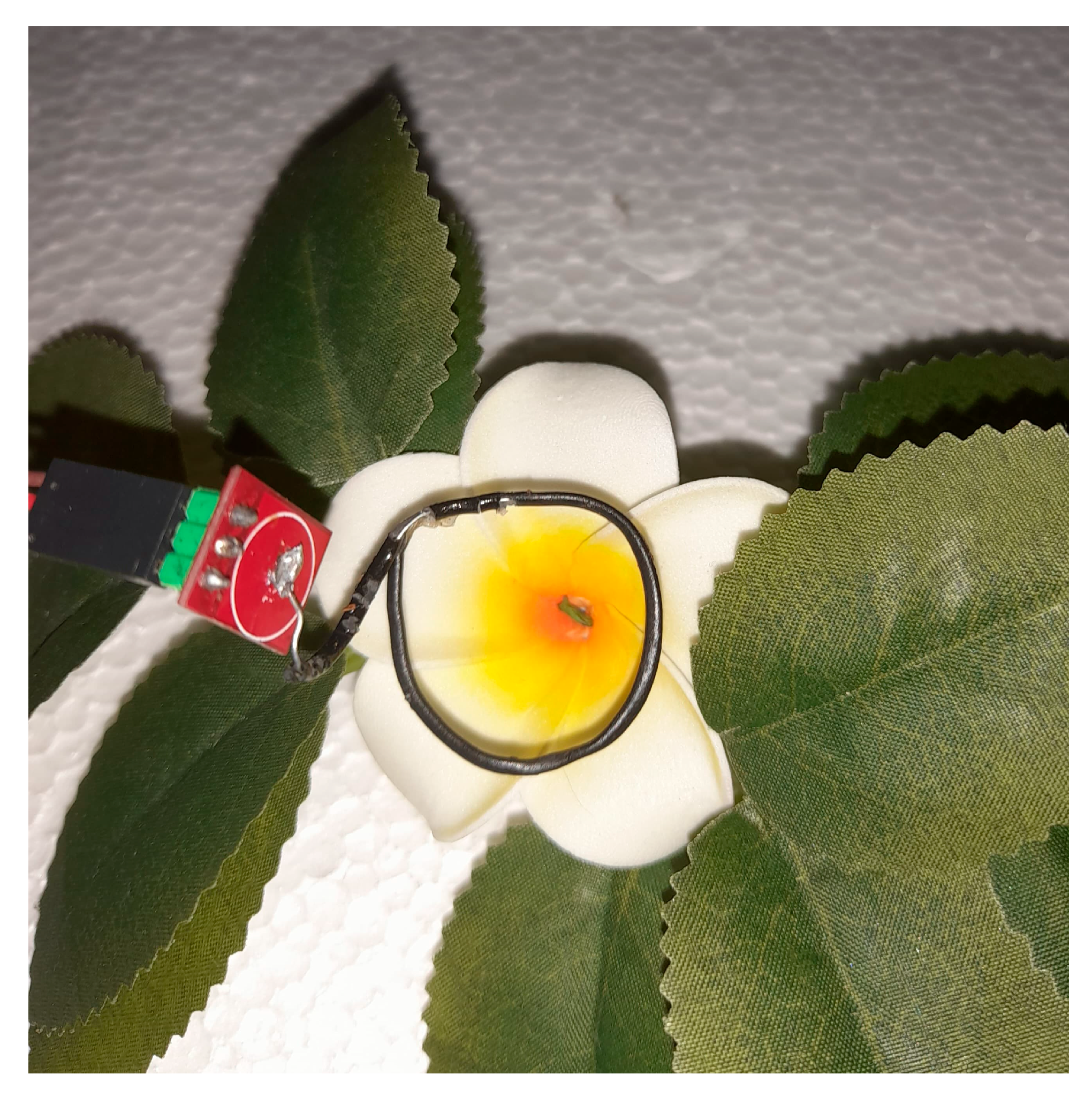 Engproc 118 00055 g005 Engproc 118 00055 g005