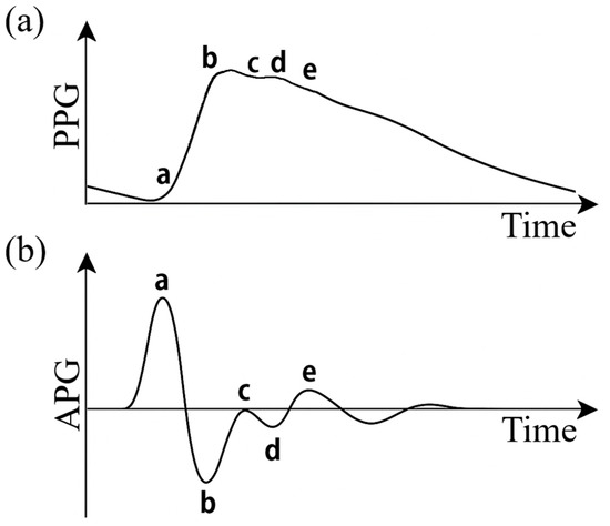 Analysis of the Second Derivative of the PPG Signal as Indicator of ...