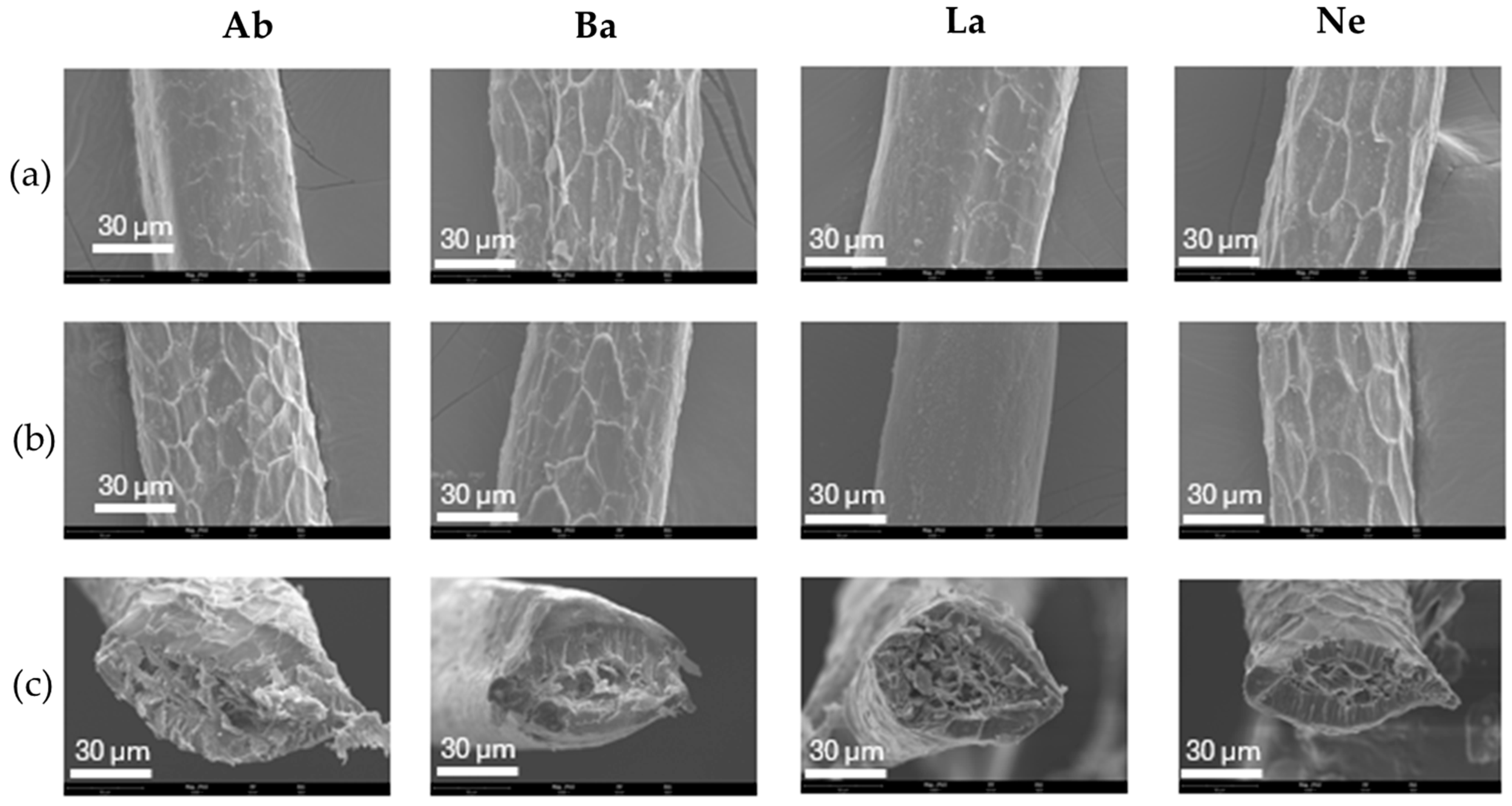 Engproc 119 00017 g001