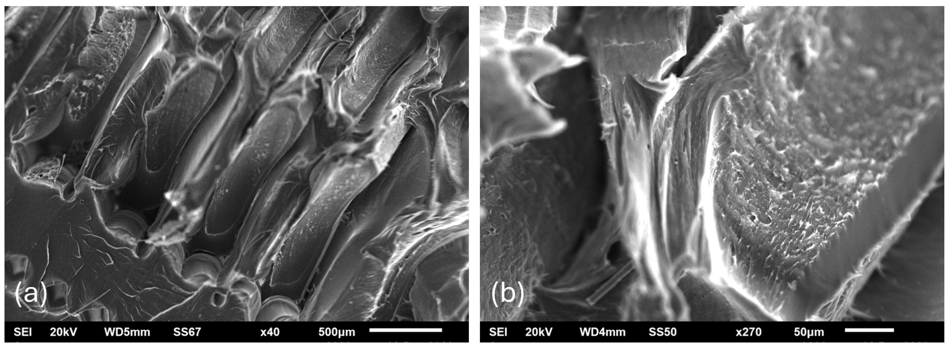 Engproc 119 00018 g002