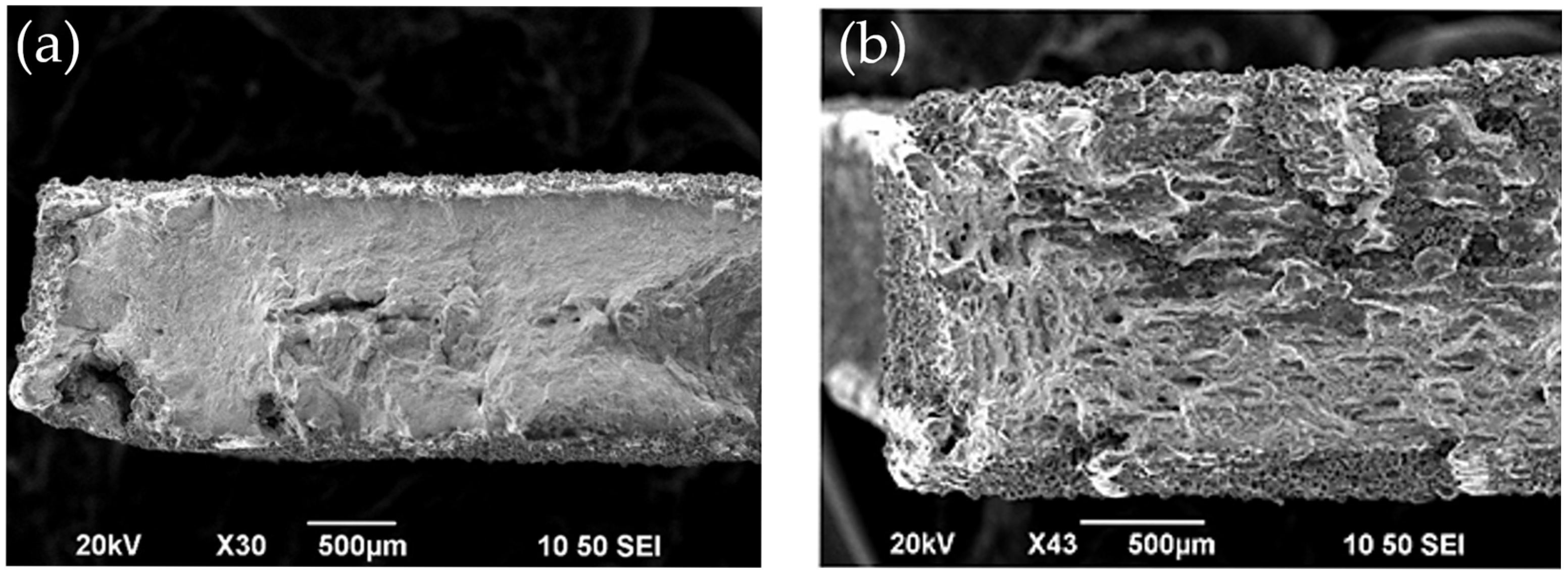 Engproc 119 00023 g005 Engproc 119 00023 g005