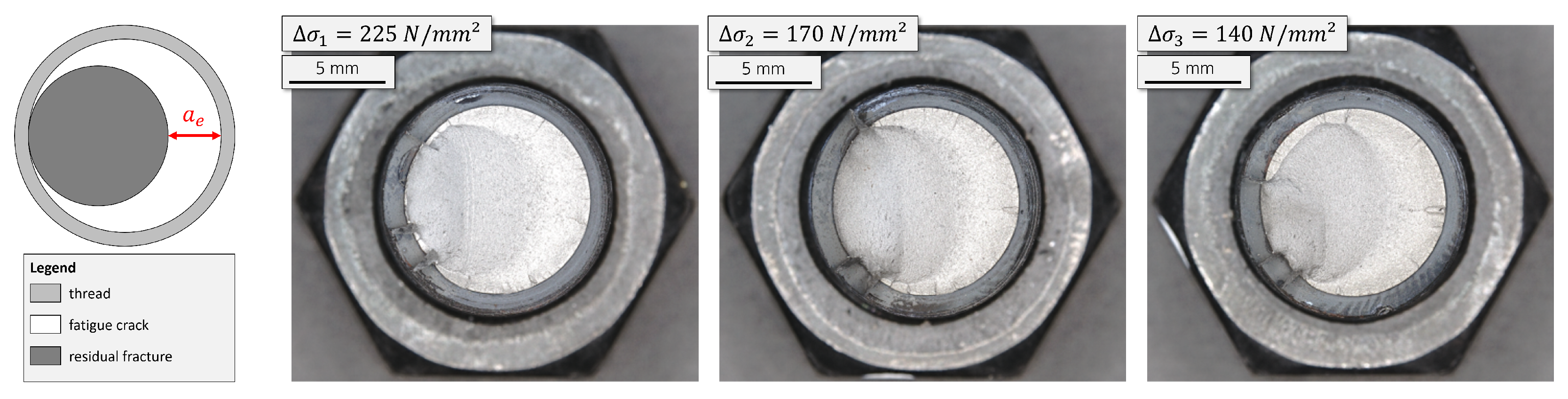 Engproc 119 00031 g005