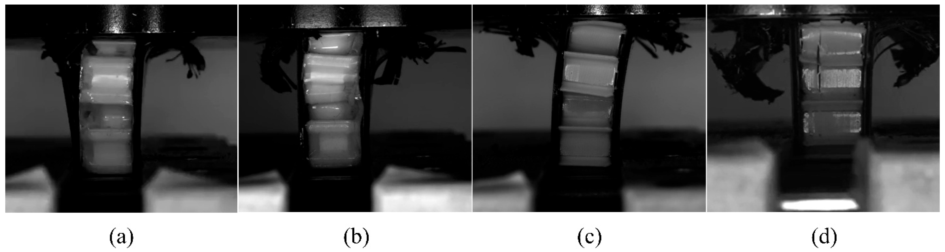 Engproc 119 00035 g005