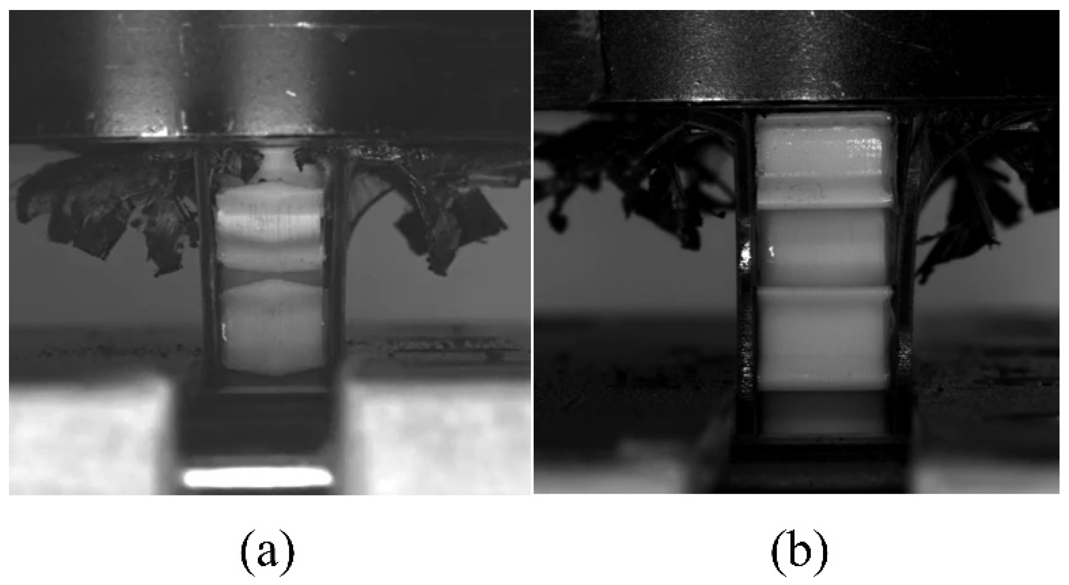 Engproc 119 00035 g007