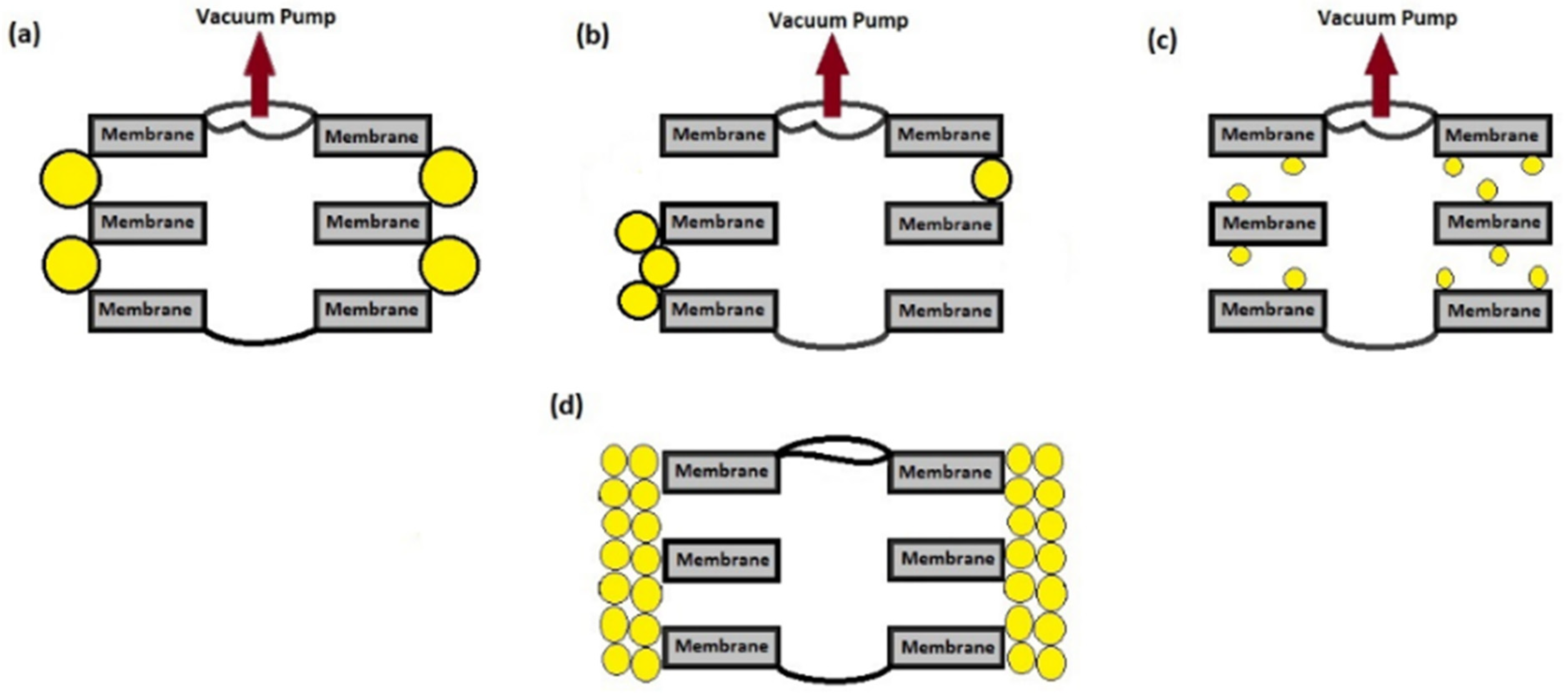 Engproc 12 00082 g001