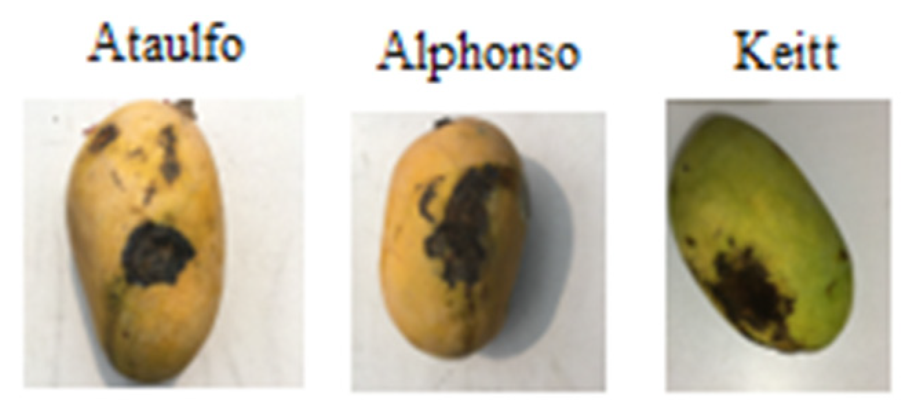 Engproc 12 00109 g002 550