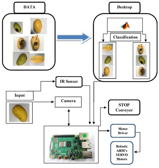 Rotten-Fruit-Sorting Robotic Arm: (Design of Low Complexity CNN for ...