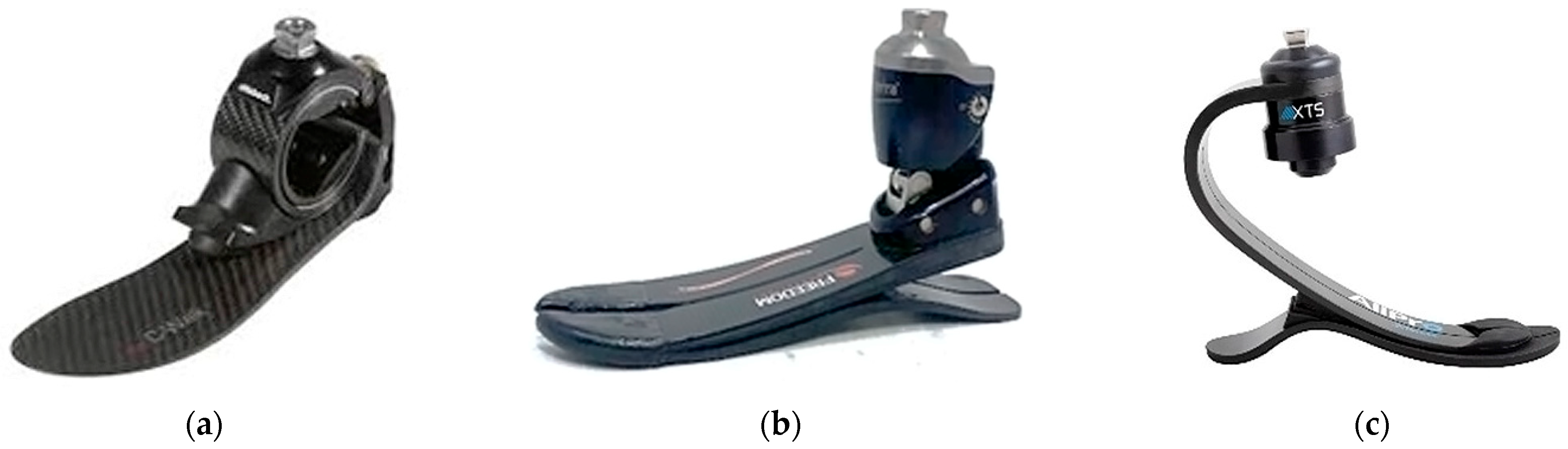 Engproc 122 00020 g001