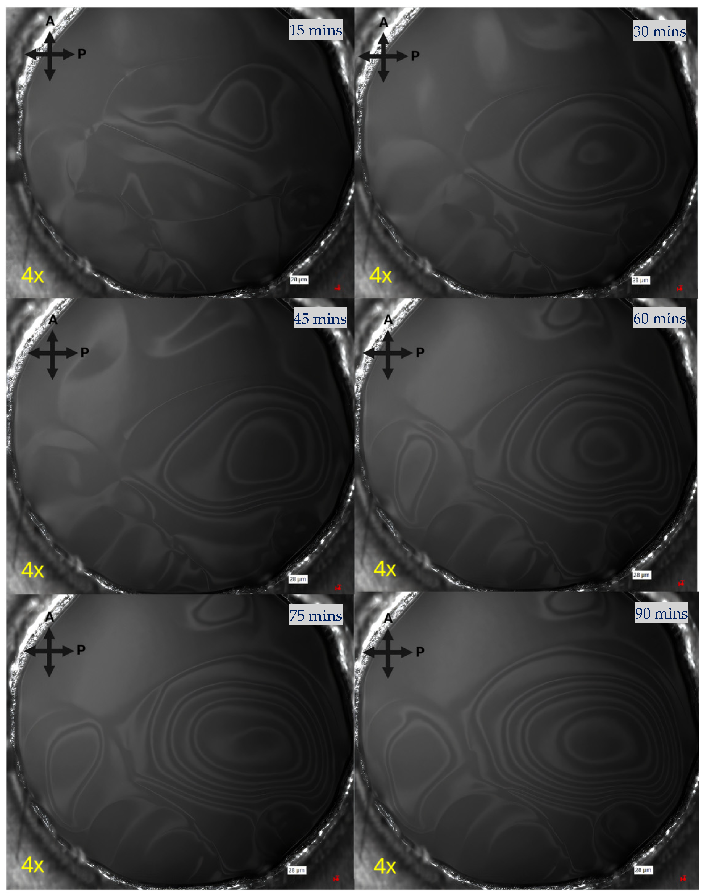 Engproc 128 00043 g002