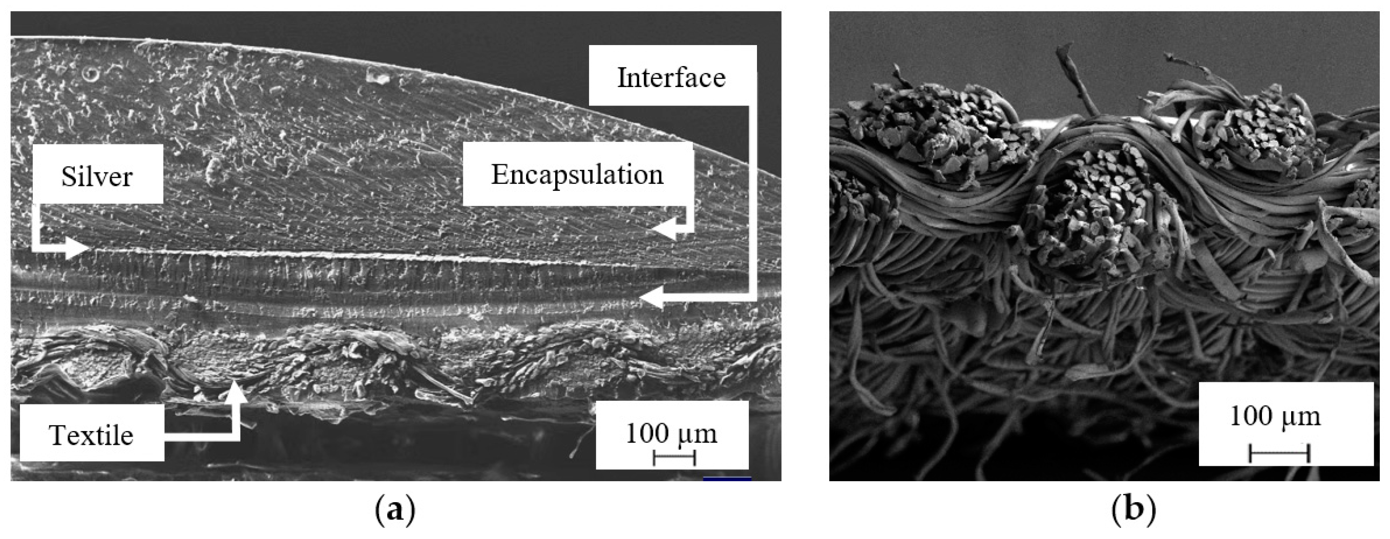 Engproc 15 00016 g005 550